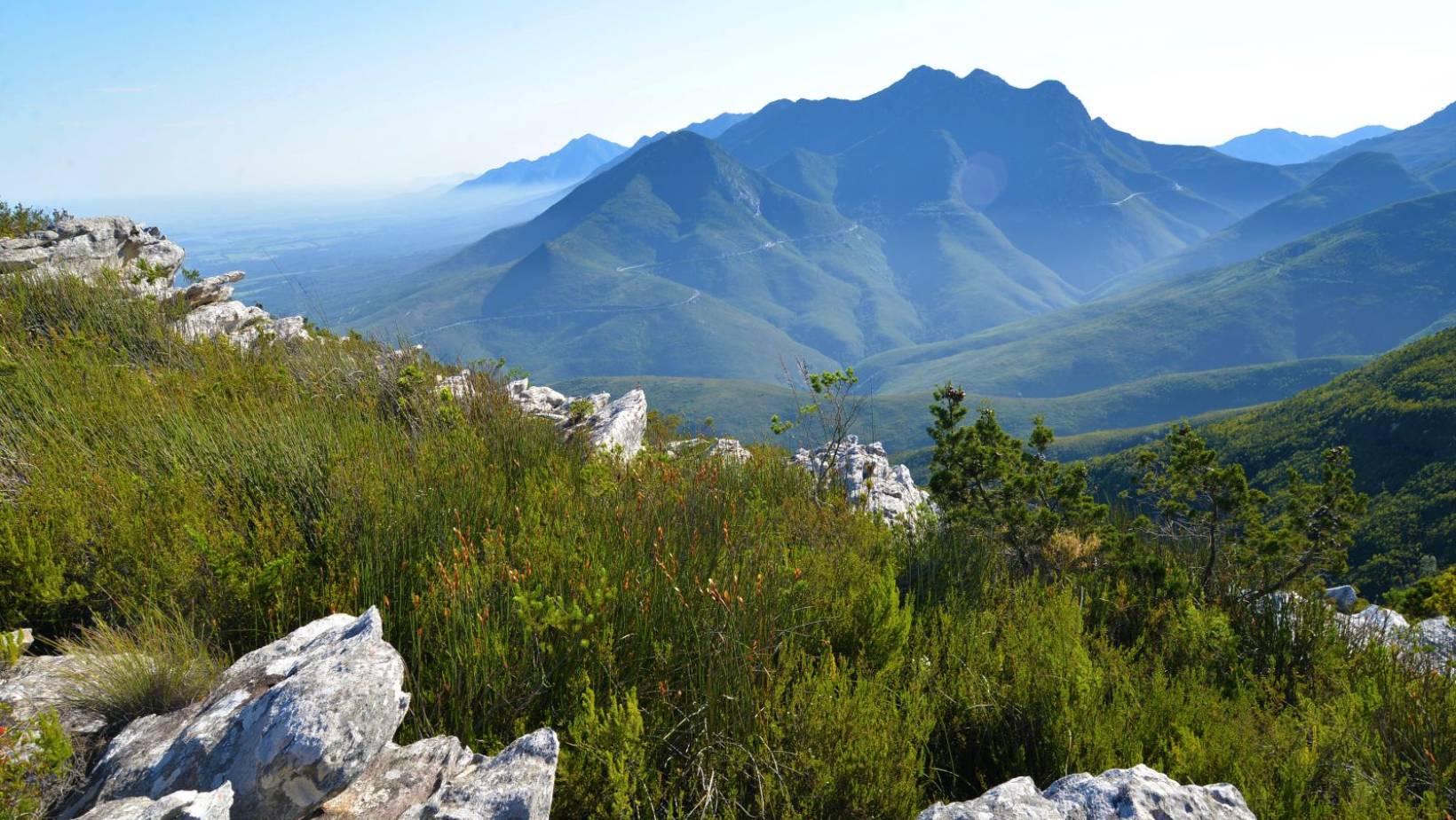 Outeniqua Berge Südafrika